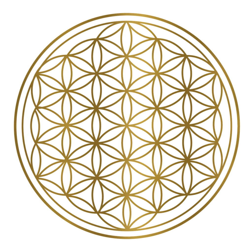 flower of life, sacred geometry, geometry-7230983.jpg